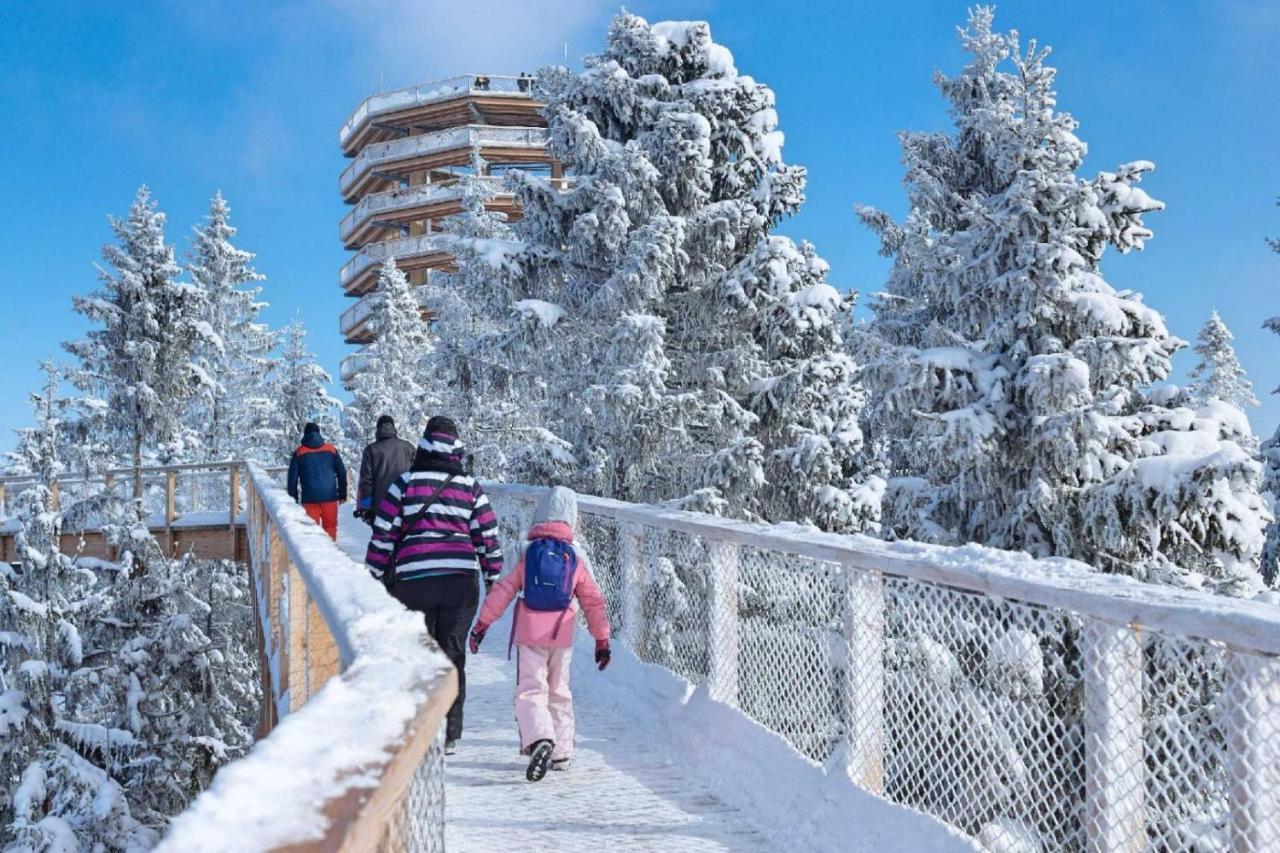 Penzion Nova Spisska Stara Ves Dış mekan fotoğraf